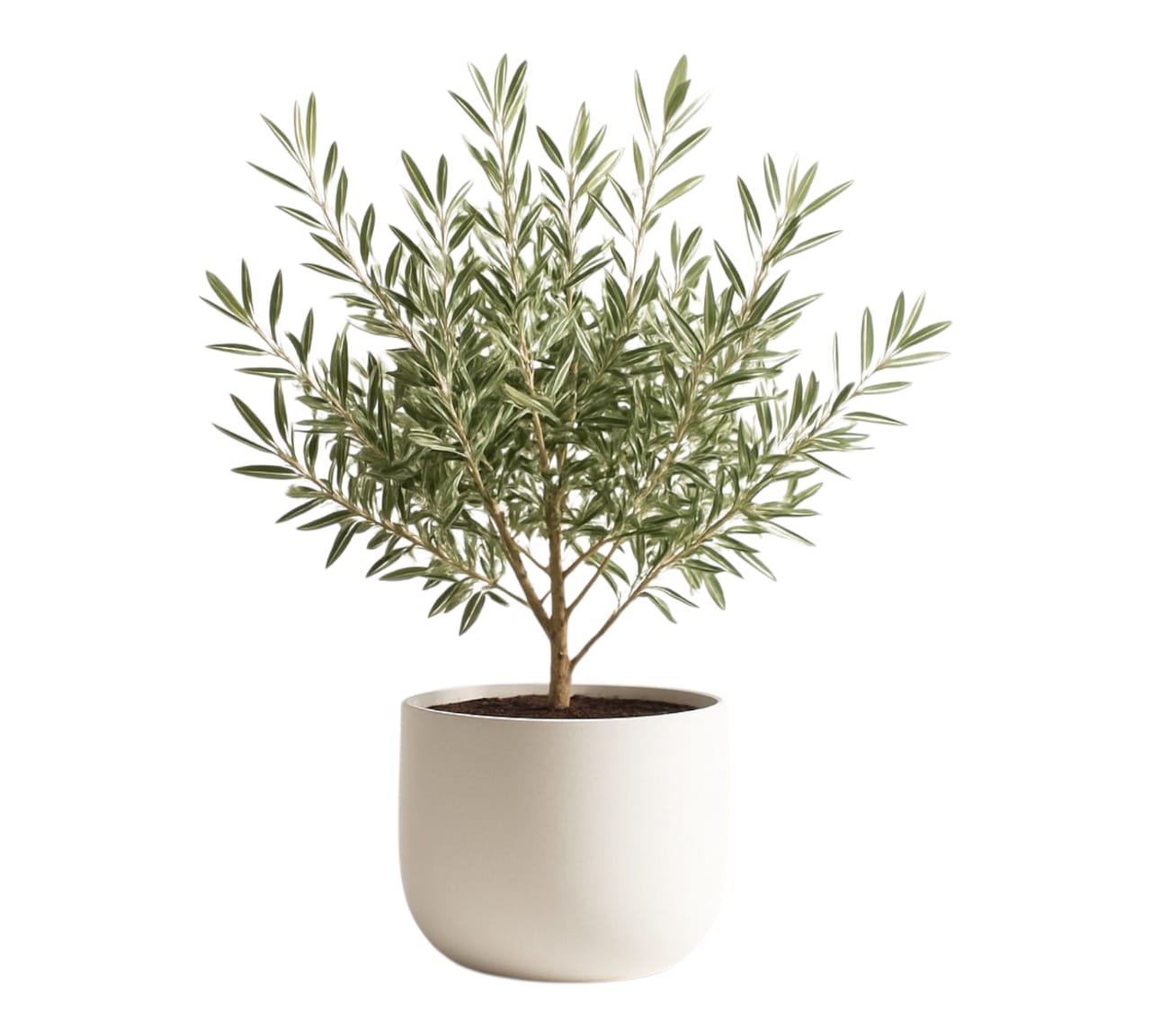 Everlush Collection-Artificial Plants