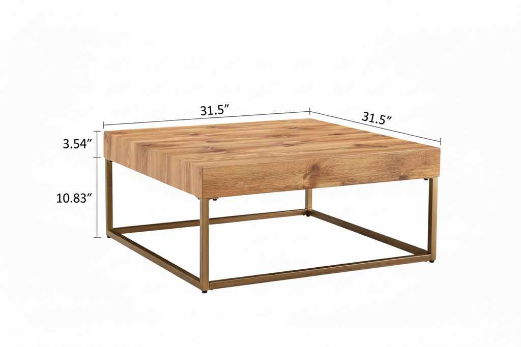 Modern Rectangular Coffee Table