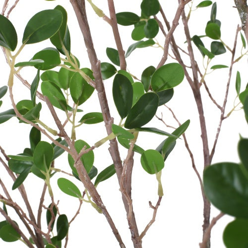 180CM ARTIFICIAL MILANO LEAF BONSAI