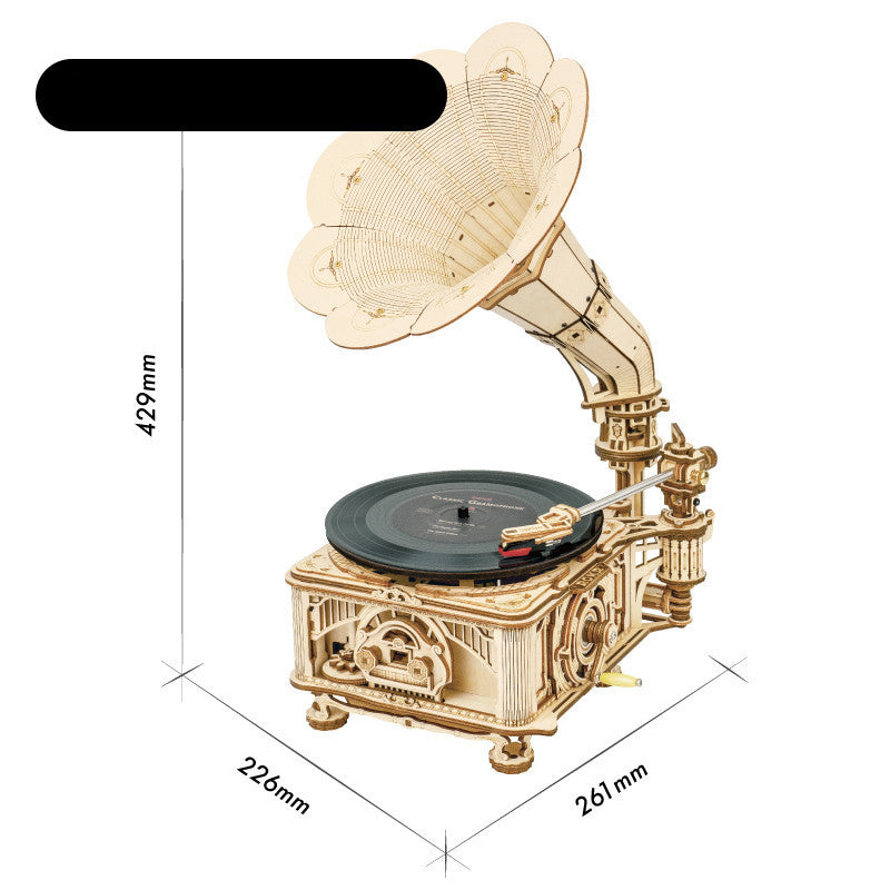 Retro Vinyl Record Living Room Decoration