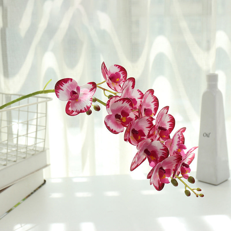 Printing Phalaenopsis Flower Bonsai Artificial Plant